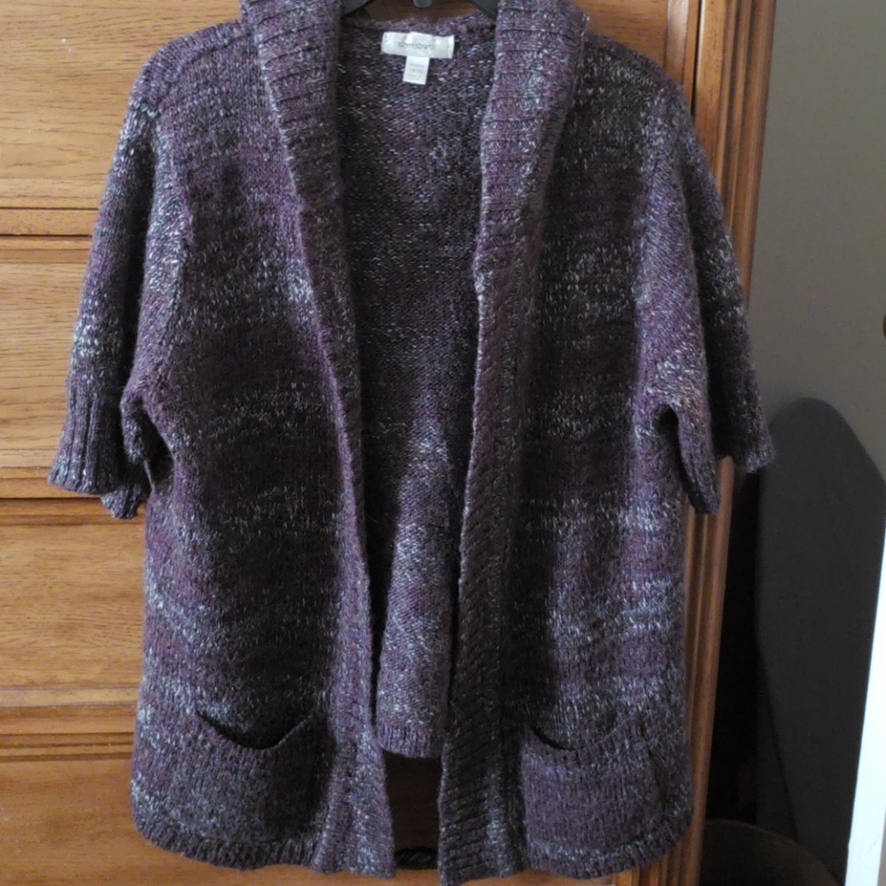 Dress Barn Sweater with hoodie